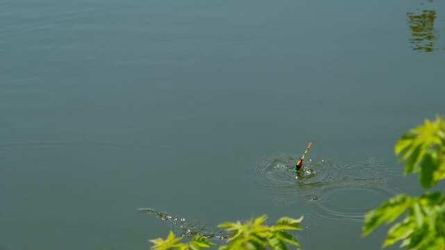 Fishing Float and Hook Suspended Over Calm River Water Surface