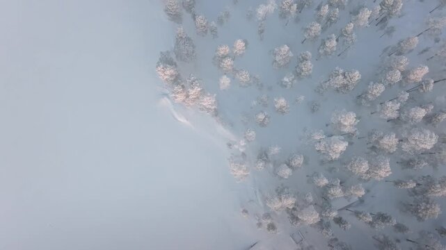 ドローンで撮影したフィンランドの極寒の雪原