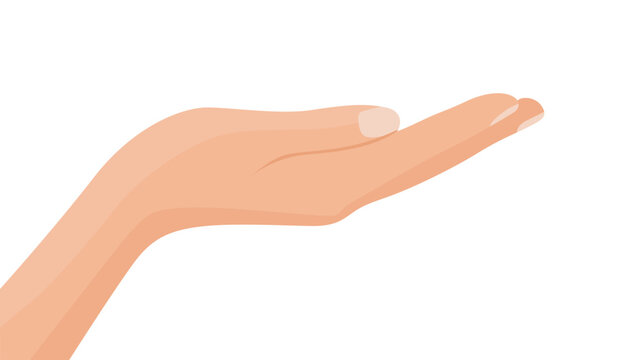 Hand open up gesture with palm facing up. 
