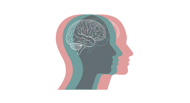 Minimalist Human Brain Anatomy Inside Head Silhouette Illustration Graphic Design