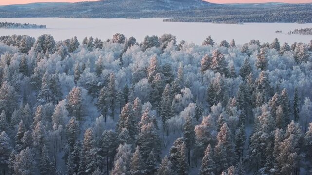 Snowfields, Forests and Frozen Lakes in 4K