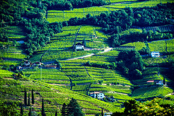 Fototapeta premium Agricultural landscape view of Trentino-South Tyrol, Italy