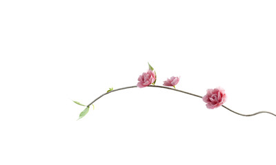Pink Blossoms on Curved Branch with Green Leaves