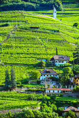 Fototapeta premium Agricultural landscape view of Trentino-South Tyrol, Italy