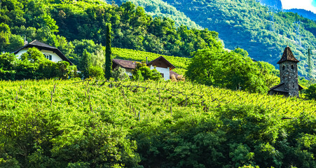 Fototapeta premium Agricultural landscape view of Trentino-South Tyrol, Italy