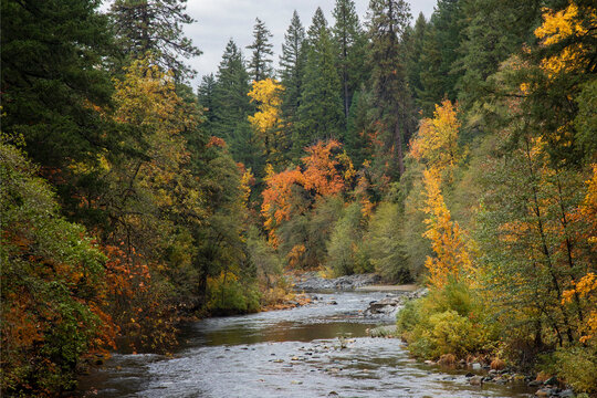 The Sacramento River near Castella and Dunsmuir California on a rainy autumn day.