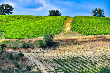 Fototapeta premium Agricultural landscape view of Calabria, Italy