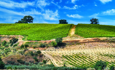 Fototapeta premium Agricultural landscape view of Calabria, Italy