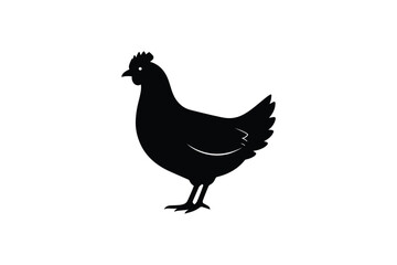 Obraz premium Black silhouette of hen standing on white background representing poultry farming and fresh livestock produce