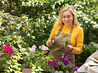 A focused young woman in a yellow sweater and apron carefully tends to potted flowers geraniums and petunias in a lush, sunlit garden.