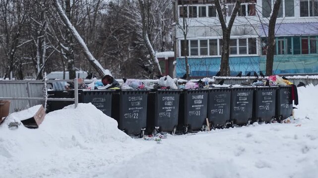 Multiple dark grey plastic bins filled with household trash in snow-covered public area. Accumulation of waste creates unsightly scene and potential health hazard. Russian label on bins is mixed waste