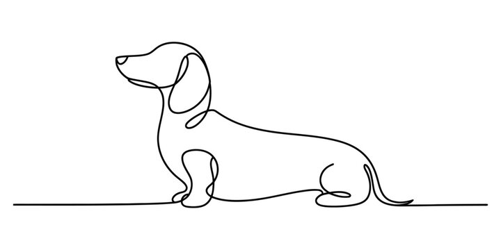 Minimalist one line drawing of a dachshund dog standing on a white background. Vector, illustration