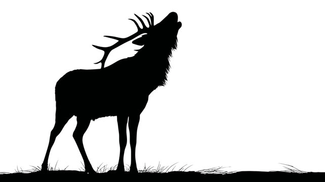 Powerful red deer stag silhouette bugling or roaring with majestic antlers. Wild animal profile on a clean white background.
