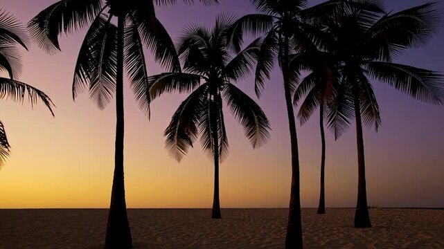 Golden hour bathes a tropical beach, its warm light illuminating a row of palm trees as their fronds dance gracefully against a vibrant, purple tinged sky, creating a serene and idyllic scene