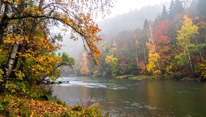 Fototapeta premium Misty Autumn River Landscape with Colorful Trees.