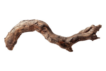 Fototapeta premium A beautifully twisted piece of driftwood showcasing natural texture and unique shapes, perfect for decorative purposes.
