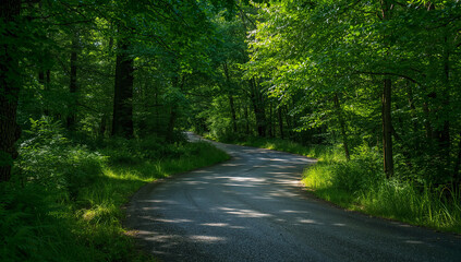 Obraz premium 真夏の深緑がトンネルを作り、S字の山道に陽斑が踊る