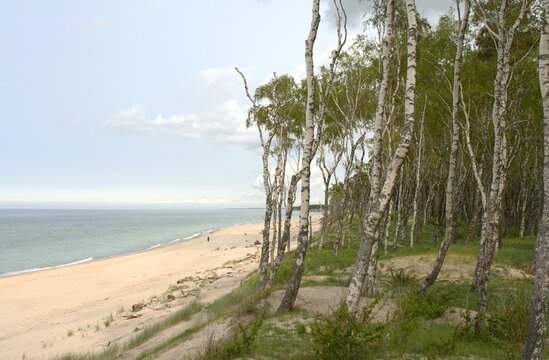 The Baltic Sea coast. Curonian Spit, Kaliningrad Oblast, Russia.