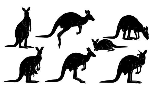 Kangaroo silhouette vector set Macropus fuliginosus wildlife poses