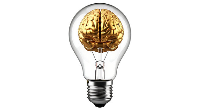 Lightbulb with golden brain inside idea inspiration