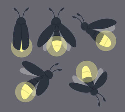 Set of firefly characters with glowing light effect in various angles