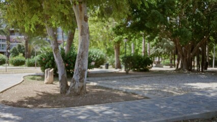 Obraz premium Blurred park scene with soft shallow focus on trees, walkway and green foliage; background copyspace overlay calm.