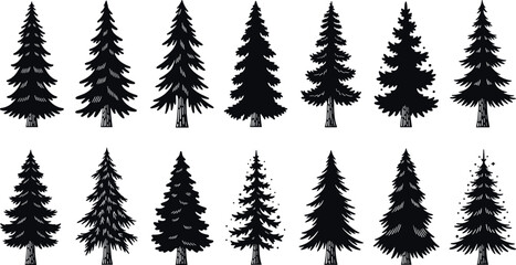 Fototapeta premium Black silhouette collection of evergreen pine and fir trees for forest, winter and nature landscape design isolated on white background