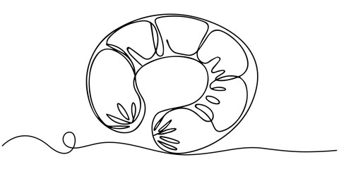 Hand drawn sausage spiral isolated on white background. Sketch style grilled sausage ring. Engraving vector illustration of snail sausage, Smoked sausage ring line drawing, sausage rings continuous. © SREEMOTIJANOTA