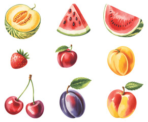 Fototapeta premium Fresh summer fruits assortment painted in natural watercolor. Summer fruit collection in fresh watercolor style.