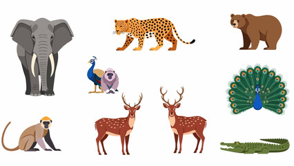 Obraz premium A diverse set of 8 wildlife animals in digital illustration style, featuring various species from Sri Lanka