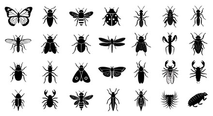 Black Insect Silhouette Icon Set of 20 Vector Collection © Deshan