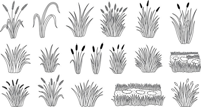 Detailed black line wild grass and reed collection with cattails, meadow plants, clumps and natural ground patches