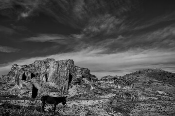 Archeologia in bianco e nero. Il complesso archeologico con i resti delle Terme di Antonino, Area...