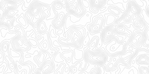 Minimal white line geometric grid outline curve counter map and wavy topography relief discovery area white, black line texture background.