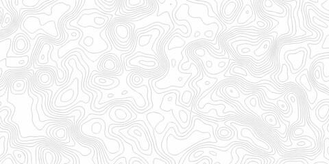 Minimal white line geometric grid outline curve counter map and wavy topography relief discovery area white, black line texture background.