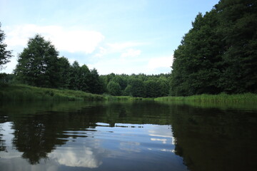 Fototapeta premium Calm forest river with reflections on water surface in summer 