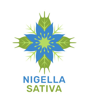 Black seeds - nigella sativa flower, fetus icon in flat colors