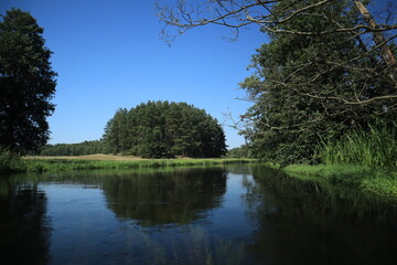 Calm forest river with reflection under clear blue sky
