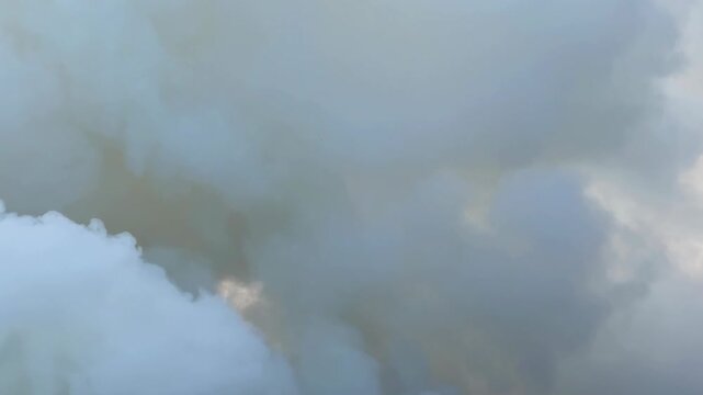 beautiful thick smoke, loop animation.