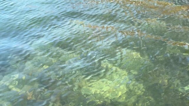 clear lake water close up ripples