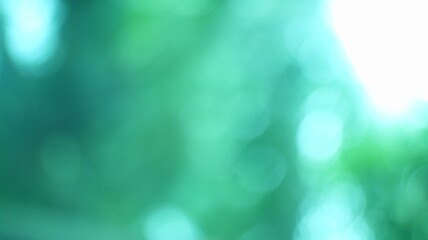 Abstract Green Nature Scene with Soft Light Bokeh Effects for Eco and Environment Themes