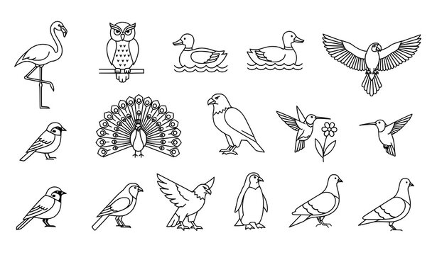 Linear vector bird icons set with flamingo, owl, duck, and diverse bird species in multiple poses