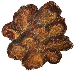 キクラゲのイラスト オイルパステル画