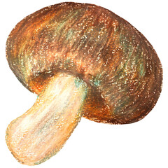 椎茸のイラスト オイルパステル画