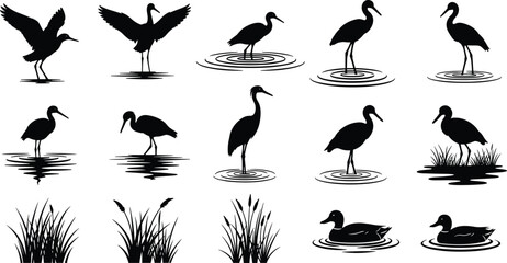 Fototapeta premium PrintBlack silhouette collection of water birds including herons, cranes, and ducks with marsh grass and pond ripples isolated on white background for nature design.
