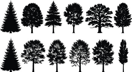 WebDeciduous and Coniferous Tree Silhouette Collection Featuring Pine, Spruce, and Oak Varieties for Nature Landscapes, Environmental Conservation Graphics, Forestry Design