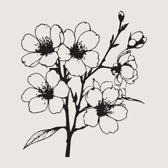 black and white flower