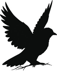 Fototapeta premium Adobe Illustrator Artwork