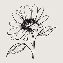 vector illustration of a flower