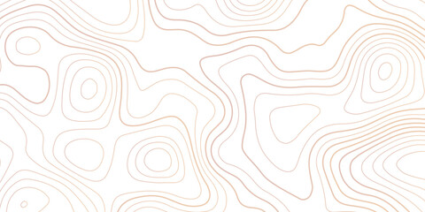 Topographic map background geographic line map with seamless ornament design. vector geographic contour map. geographic mountain relief diagram line wave carve pattern. © Khan